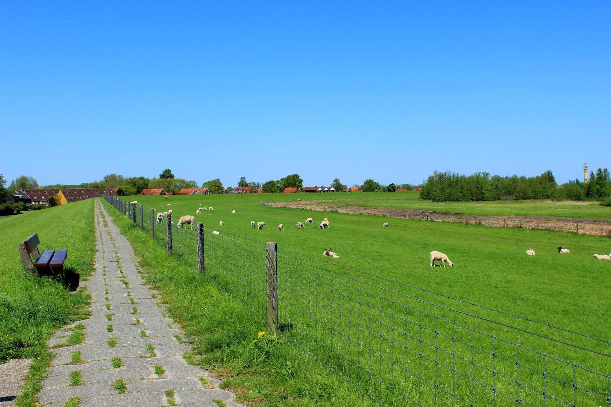 Apartment Urlaubsschmiede In Horumersiel An Der Nordsee *